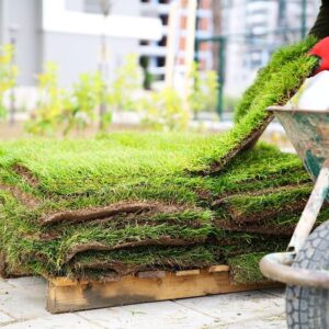 Pace, Ferry Pass, and Milton sod installation company