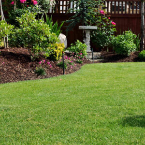 professional landscaping company near me in Pace, Ferry Pass, and Milton, FL