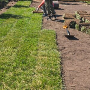 best sod in Pace, Ferry Pass, and Milton