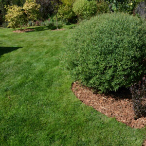 Florida landscaping experts for Pace, Ferry Pass, and Milton homes