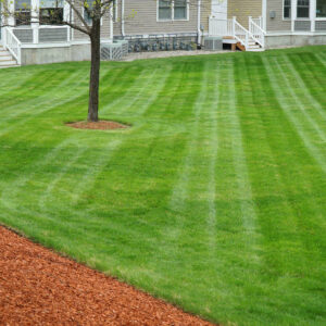 top-notch lawn mowing for residential and commercial properties near Pace, Ferry Pass, and Milton, Florida