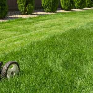 quality lawn mowing services in Pace, Ferry Pass, Milton, and surrounding areas
