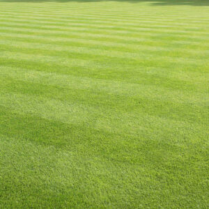 Florida lawn mowing company for homes in Pace, Ferry Pass, and Milton
