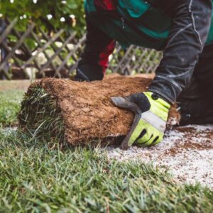sod specialists in Pace, Ferry Pass, and Milton, FL