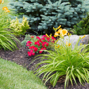 quality landscaping in Pace, Ferry Pass, and Milton