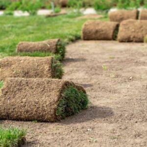 buy sod for installation in Pace, Ferry Pass, and Milton, Florida