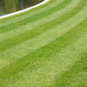 read customer reviews to learn why we have the best reputation in town