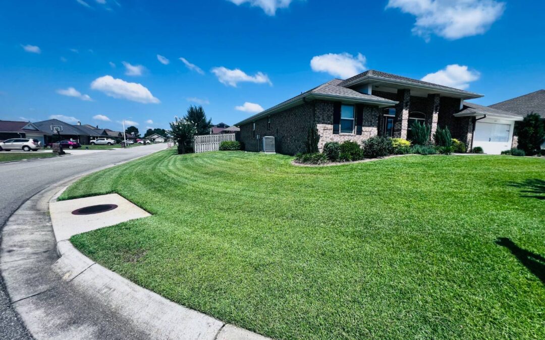 Prepping For New Sod? Tips & Pointers