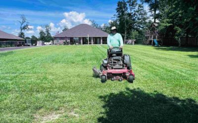 Lawn Care: The Ultimate Guide to Lawn Mowing & Maintenance