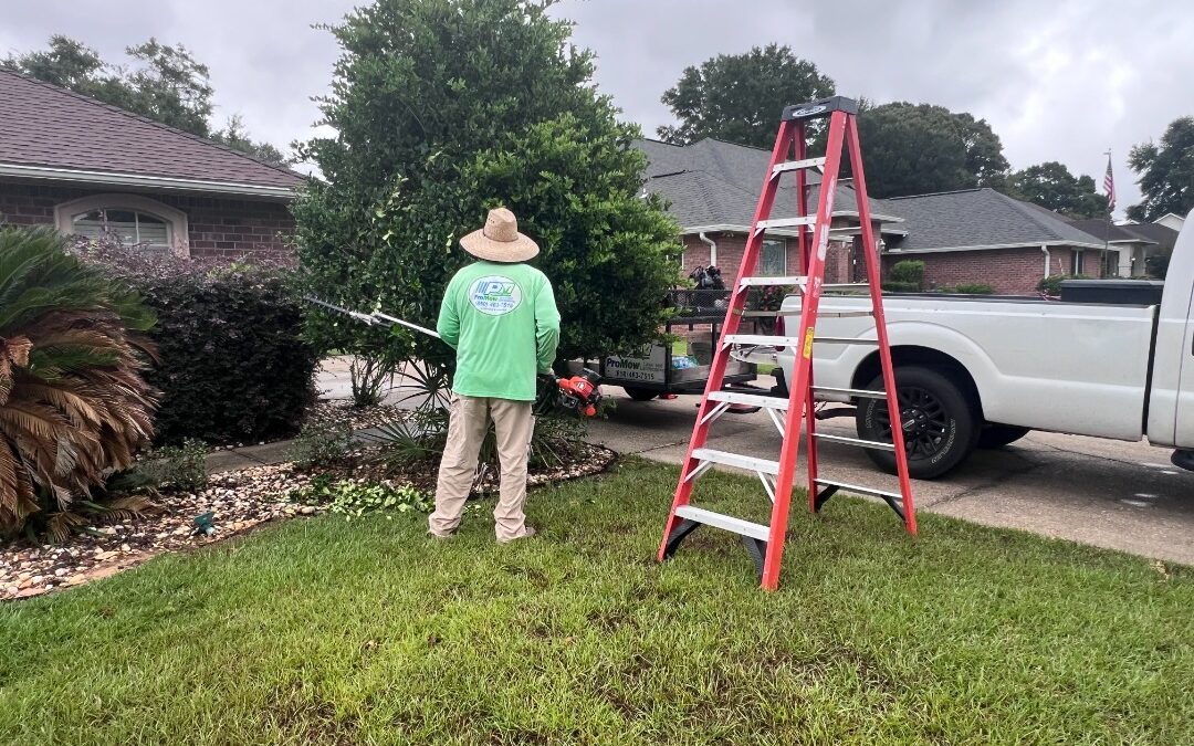 Get a Perfectly Manicured Lawn with ProMow Lawn & Landscaping in Pace, FL