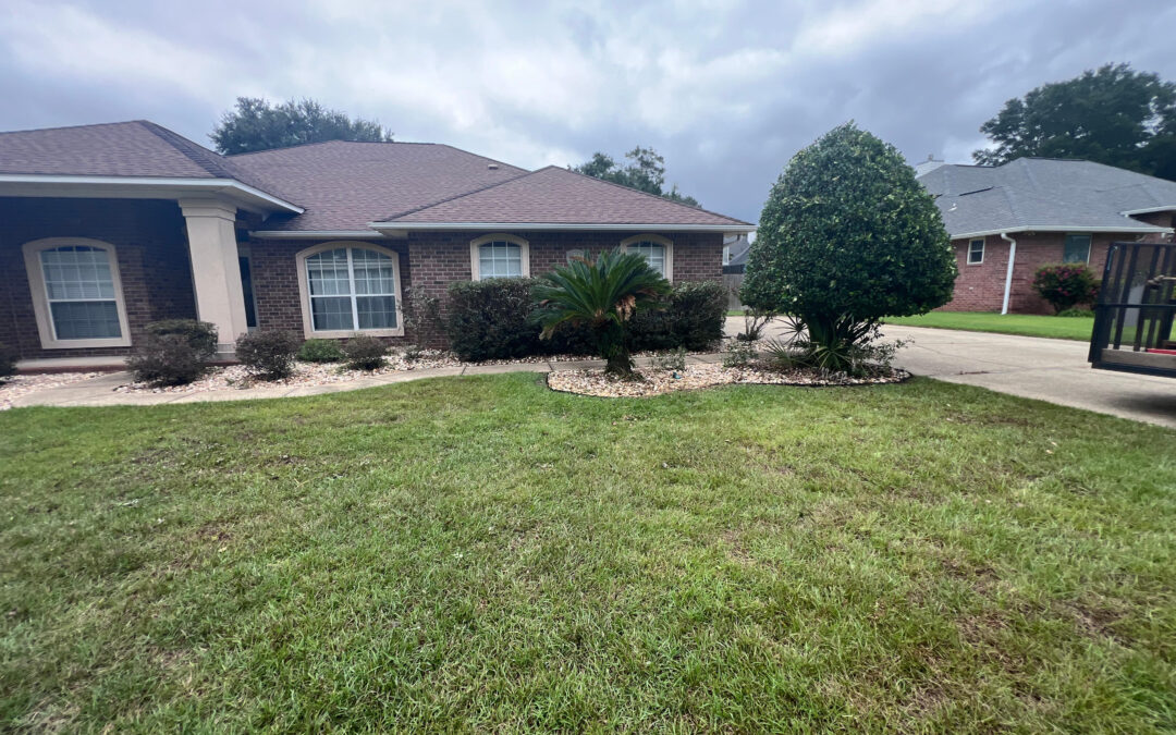 Sod Installation That Turns Heads and Sprinklers