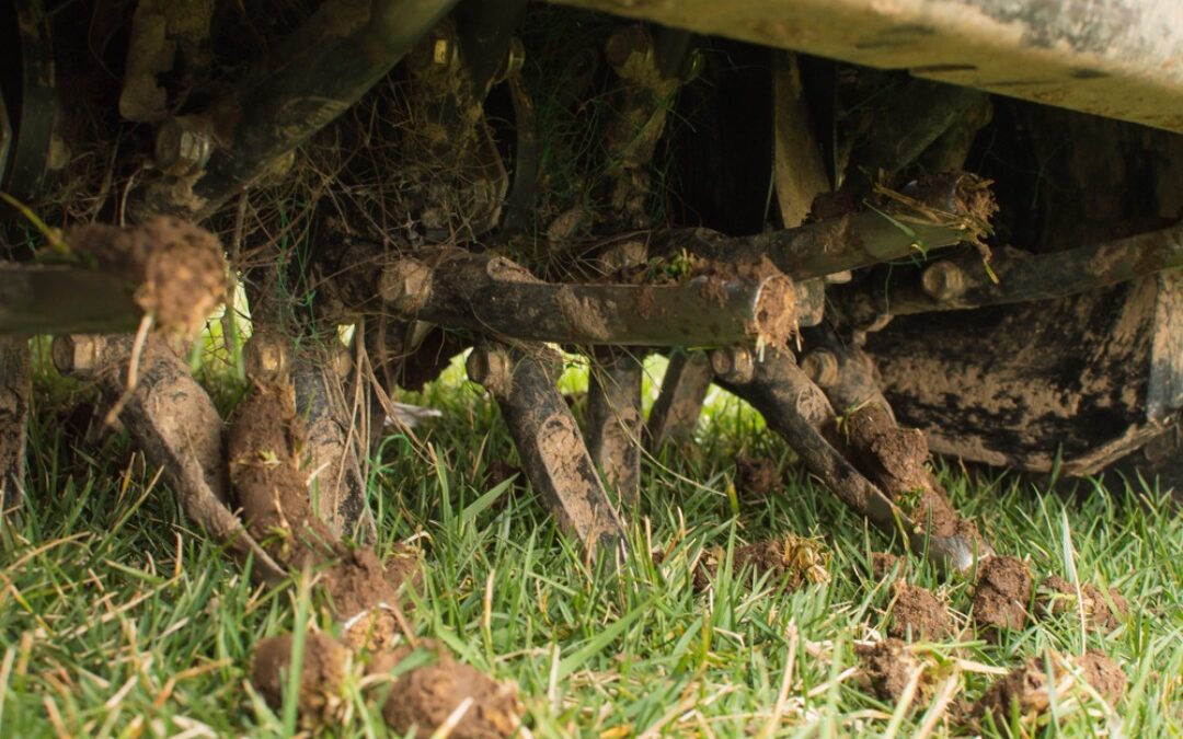 Core Aeration vs Spike Aeration | Which is the Best Option?