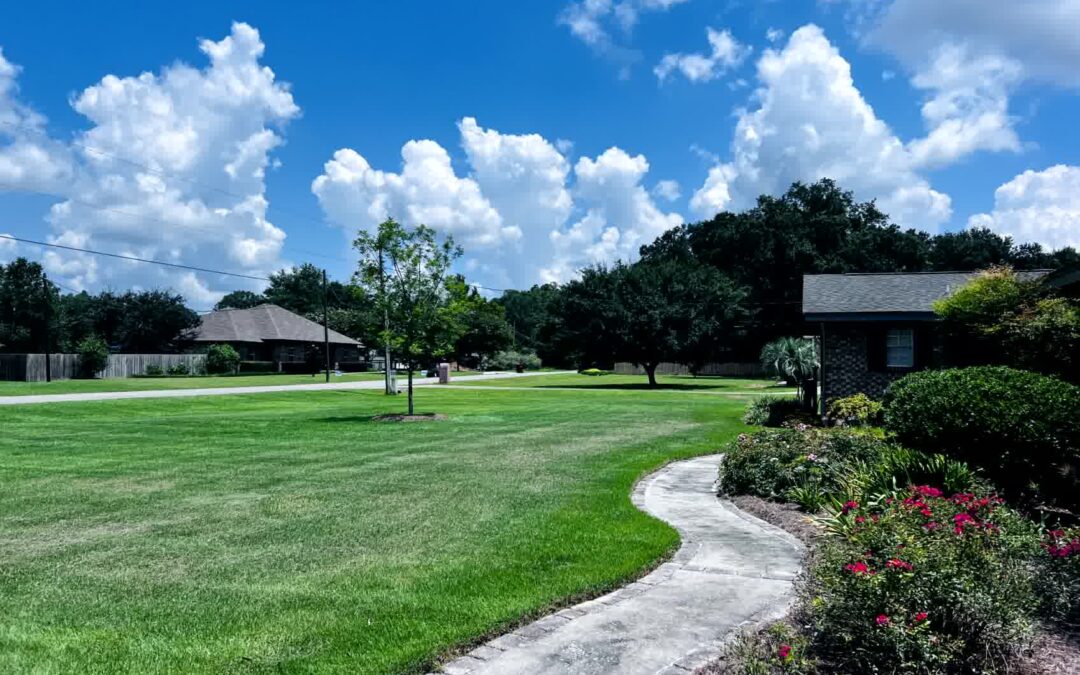 The Secret to a Lush Lawn All Year Long